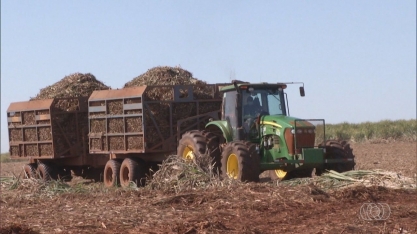 Goiás é o segundo maior produtor de cana-de-açúcar