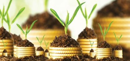 Cresce emissão de títulos verdes do setor agropecuário