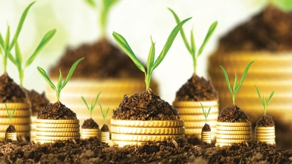 Cresce emissão de títulos verdes do setor agropecuário