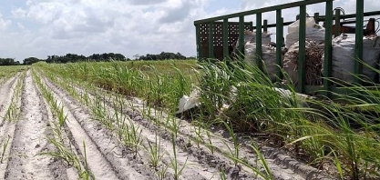 ATR reage e tem variação positiva de 7,3% em maio