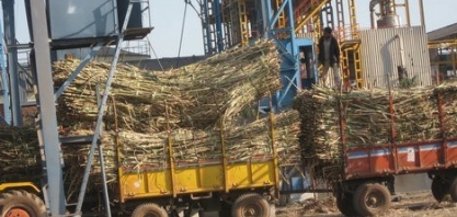 Vendas domésticas de açúcar crescem 6% na Índia em 2020/21