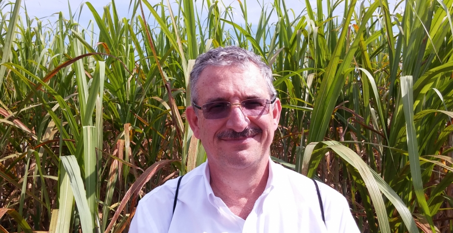  Rubens Braga - Os produtores brasileiros estão cada vez mais abertos ao uso de novas tecnologias e a muda pré-brotada (MPB) se destaca como uma dessas técnicas com excelentes resultados