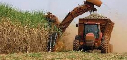 Cana/Conab: safra brasileira 2021/22 deve diminuir 4%, para 628,1 milhões de t