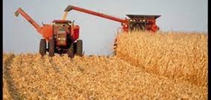 Estudo analisa pegada de carbono do milho argentino