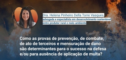 Previsão de estiagem nos próximos meses aumenta exponencialmente o risco de grandes incêndios nos canaviais