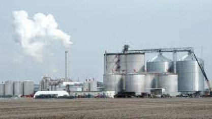 Etanol: estoques dos EUA caem 5% na última semana