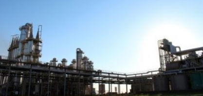 Adecoagro reverte prejuízo e anota lucro de US$ 19,3 milhões no 1º trimestre