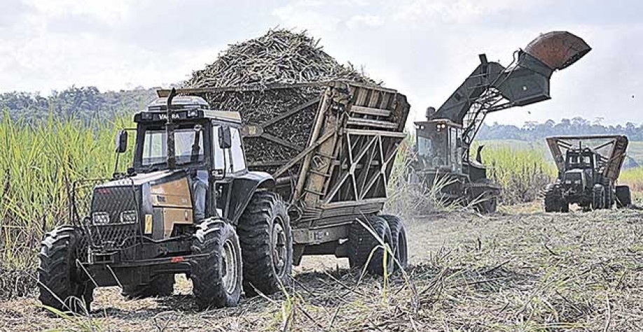 A colheita da cana-de-açúcar é favorecida pelo clima mais seco desta época do ano | Crédito: Divulgação