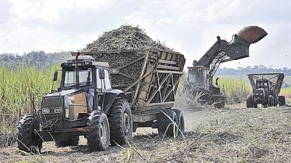 Safra mineira 2021/22 promete priorizar etanol