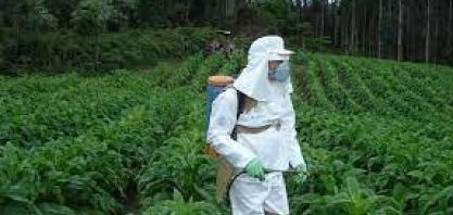 Programa IAC-Quepia celebra 15 anos em evento patrocinado pelas empresas Syngenta e BASF