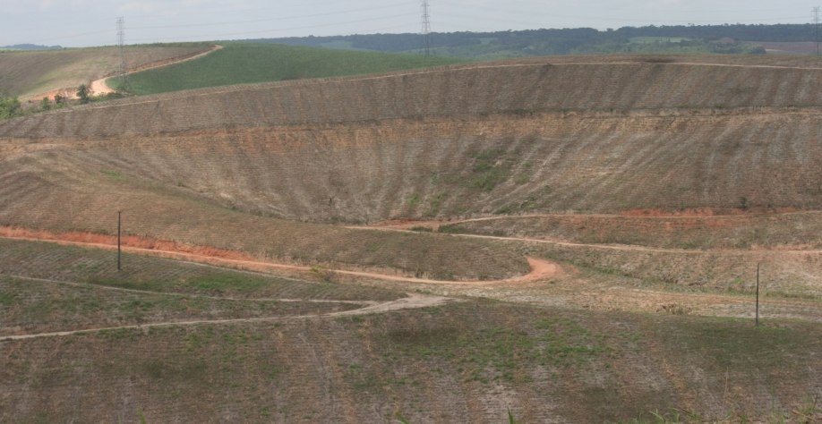  A cana é a cultura agrícola mais tradicional de Pernambuco. Esta cadeia produtiva possui mais de 90% de seus agricultores em regime de economia familiar