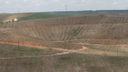 Uso de tecnologia é primordial para a continuidade da cana-de-açúcar em Pernambuco