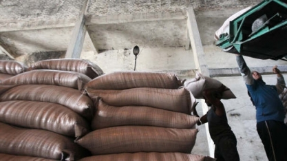 Café arábica atinge nova máxima de quatro anos na ICE e açúcar cai