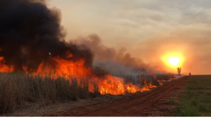 Seca de 2021 supera a de 2020 e acende a luz vermelha para maior ocorrência de incêndios nos canaviais