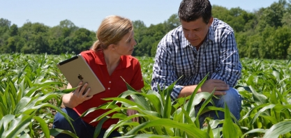 IHARA abre inscrições para contratação de profissionais para atuar no setor do Agronegócio