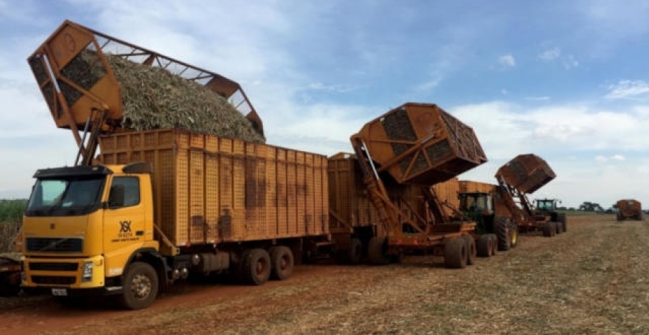 Na estimativa anterior, divulgada no fim de março, a consultoria previa moagem de 586,1 milhões de toneladas (Imagem: REUTERS/Marcelo Teixeira)