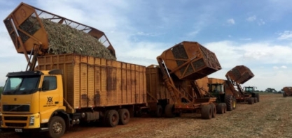 StoneX prevê queda de até 6,3% para moagem de cana no centro-sul em 2021/22