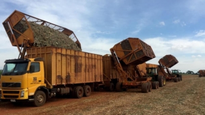 StoneX prevê queda de até 6,3% para moagem de cana no centro-sul em 2021/22