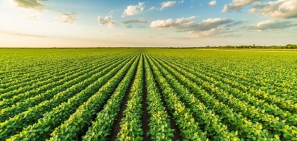 IHARA lança biológico com molécula inédita no Brasil