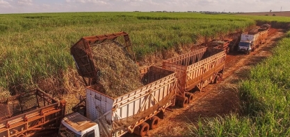AL mantém liderança na produção de cana do NE