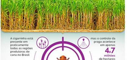 Solução inovadora, com dois mecanismos de ação, aumenta a eficiência do controle das cigarrinhas nos canaviais