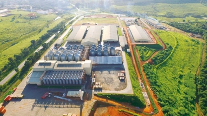 Bunge anuncia empresa para frete digital no Brasil, com foco na agilidade de processos