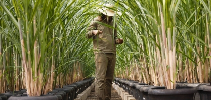 Uma transformação radical na matriz energética global está por vir