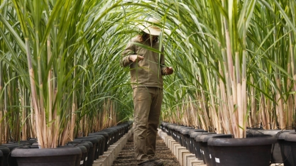 Uma transformação radical na matriz energética global está por vir