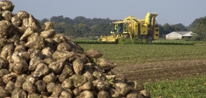 Produção de açúcar da União Europeia deve aumentar 800 mil toneladas em 2021/22, prevê OIA