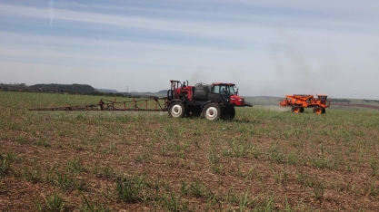 Estiagem antecipada reforça a necessidade do controle de plantas daninhas do canavial na época de soca seca