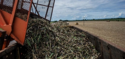 Cana-de-açúcar é a principal fonte de energia renovável do país