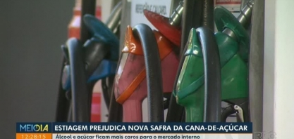 Estiagem prejudica safra de cana-de-açúcar