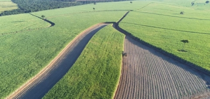 Usina Atena comprova que é possível obter bons resultados no cultivo da cana mesmo em solos desfavoráveis
