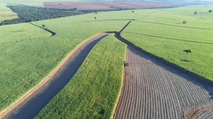Usina Atena comprova que é possível obter bons resultados no cultivo da cana mesmo em solos desfavoráveis