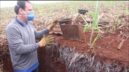 Pesquisa busca validar benefícios do plantio mecanizado em diferentes tipos de preparo de solo