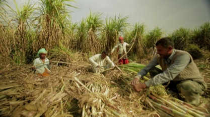 Índia antecipa meta de elevar mistura do etanol à gasolina para 2023