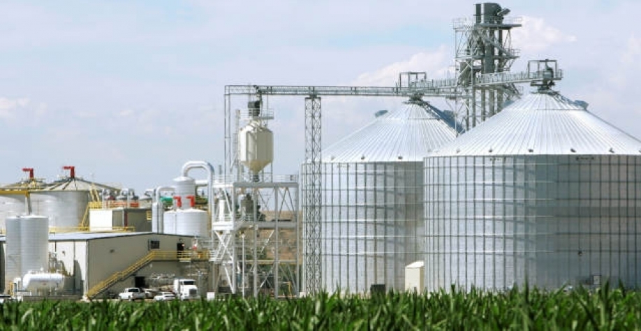 A maior parte da produção do etanol adicional no país deve vir de processamento da cana-de-açúcar (Imagem: Reuters/Rick Wilking)