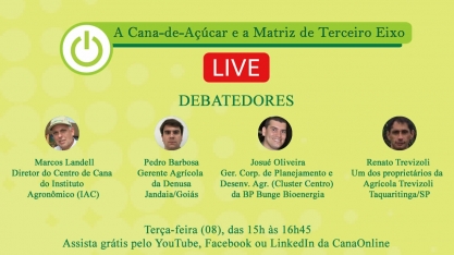 Confira como assistir a live “A Cana-de-Açúcar e a Matriz de Terceiro Eixo”