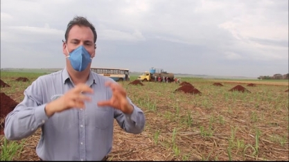 DMB e AgroQuatro-S conduzem um dos maiores experimentos em plantio mecanizado de cana do mundo