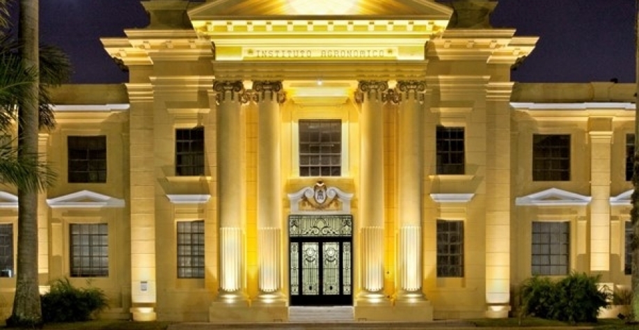 Dentre as novidades estão duas cultivares de feijão carioca, dois porta-enxerto de citros e duas cultivares de crotalárias inéditas - até então o Brasil não tinha material desenvolvido e registrado nacionalmente