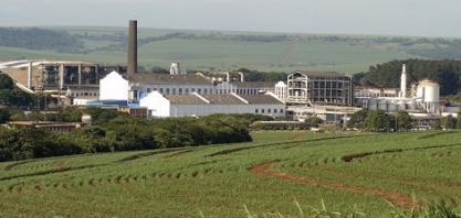 São Martinho: lucro líquido cresce 45,4%, para R$ 207,36 milhões, no 4º tri do ano safra 2020/21