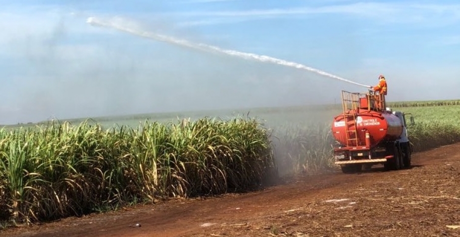  Segundo advogada, muitas vezes o produtor recebe uma multa com valores milionários e se desespera porque não tem como provar que adotou ações preventivas e de combate. Foto: Banco de imagens CanaOnline