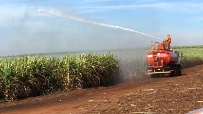 Provas de prevenção e combate aos incêndios em canaviais são essenciais para usinas e produtores se livrarem de multas ou ações criminais