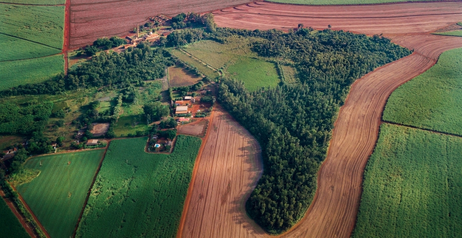 vista aérea do Museu da Cana rodeado pela mata divulgação