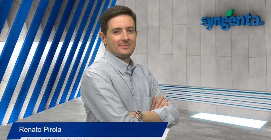 Renato Pirola, salienta que o evento tem como objetivo difundir as melhores práticas de manejo do Sphenophorus levis