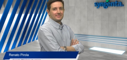 Syngenta realiza evento on-line para difundir as melhores práticas de manejo no combate ao Sphenophorus levis