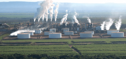 UISA espera manter moagem de cana estável nesta safra