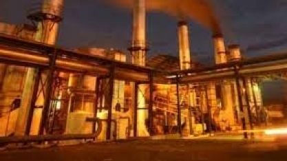 Título Verdes: uso da terra e energias renováveis são categorias mais financiadas no Brasil, diz estudo