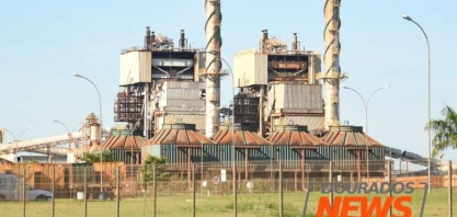 Em 'hibernação' para ser vendida, São Fernando rende R$ 13 milhões no bimestre
