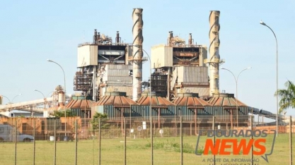 Em 'hibernação' para ser vendida, São Fernando rende R$ 13 milhões no bimestre